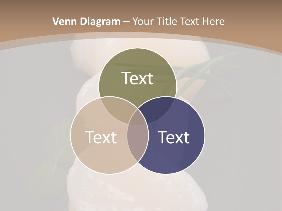 Lifestyle Retirement Pensioner PowerPoint Template