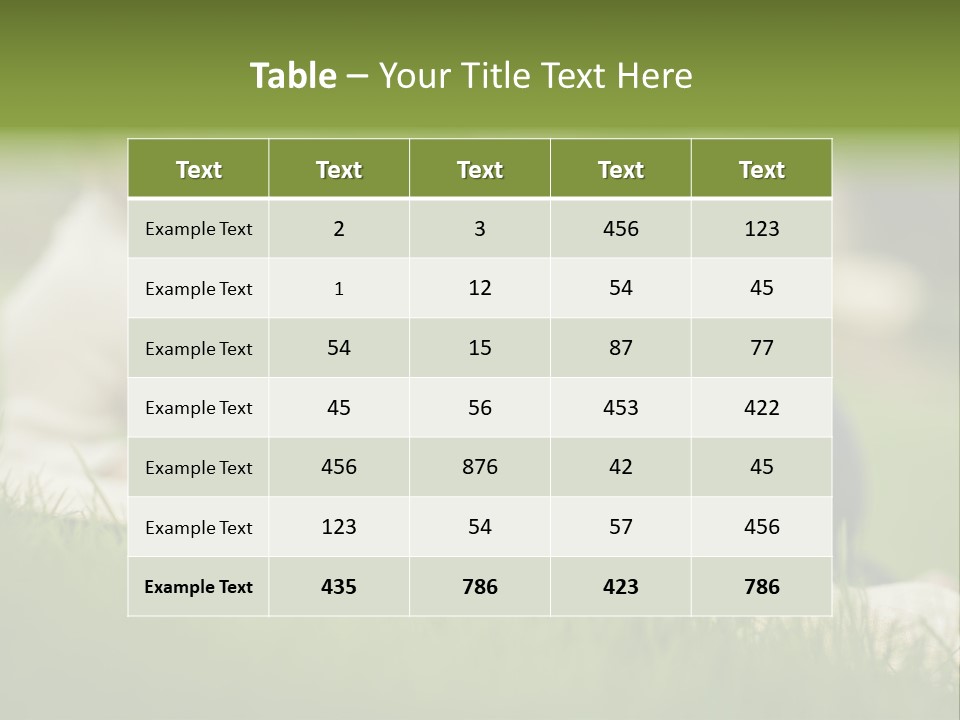 Mother Single Sunset PowerPoint Template
