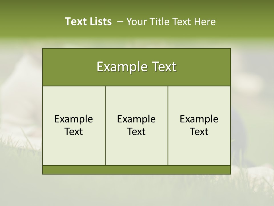 Mother Single Sunset PowerPoint Template