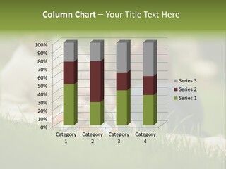 Mother Single Sunset PowerPoint Template