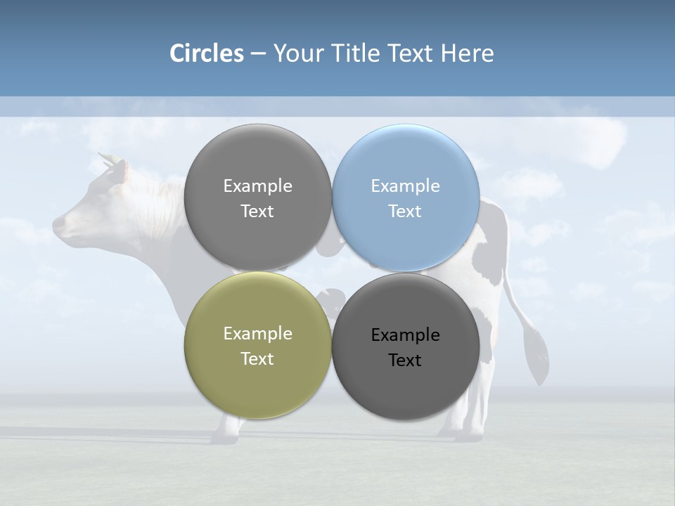 Family Coast Caucasian PowerPoint Template