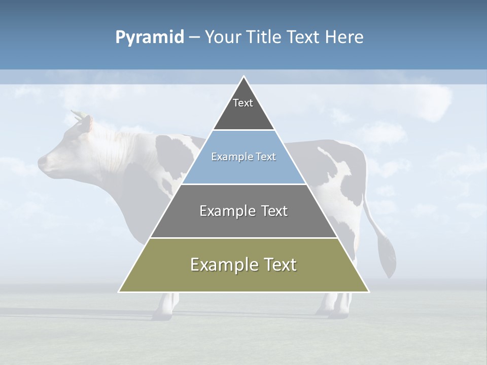 Family Coast Caucasian PowerPoint Template