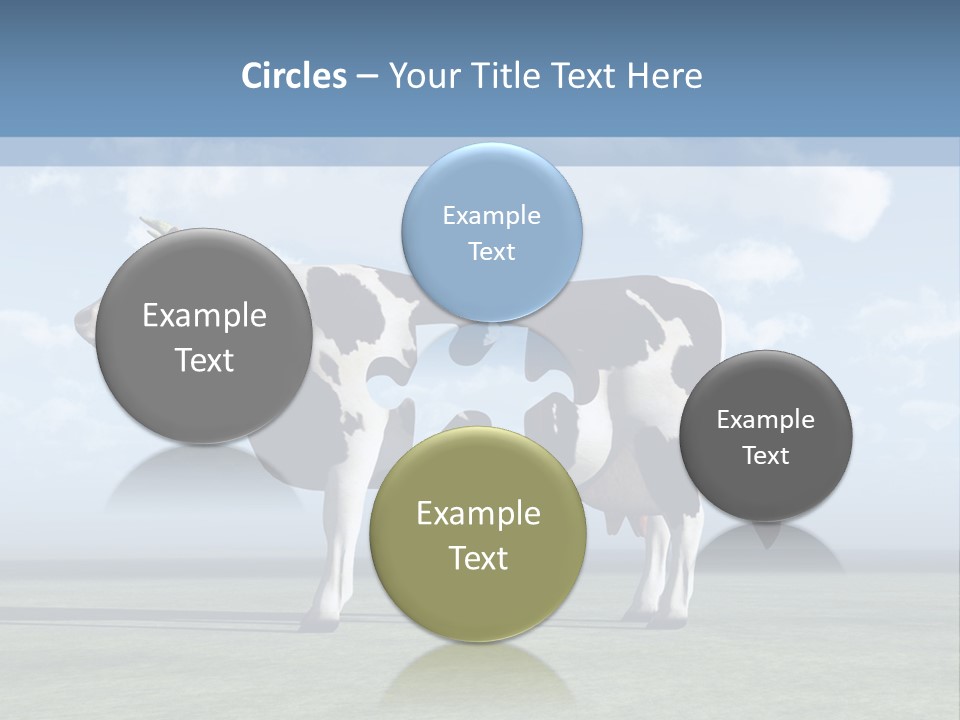 Family Coast Caucasian PowerPoint Template