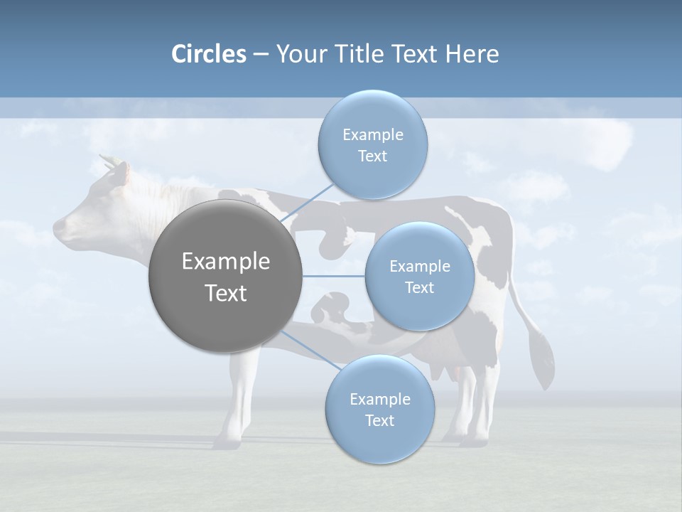 Family Coast Caucasian PowerPoint Template