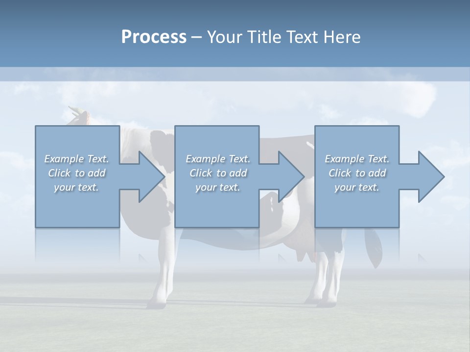 Family Coast Caucasian PowerPoint Template