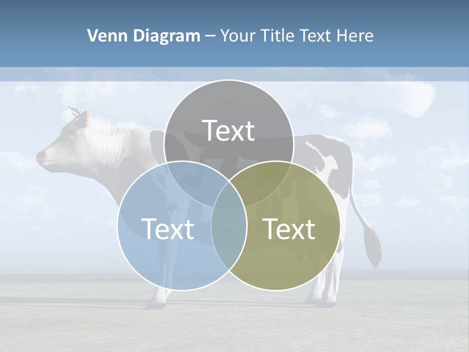 Family Coast Caucasian PowerPoint Template