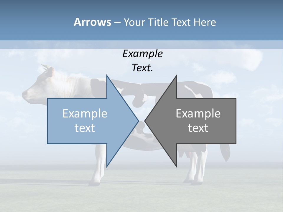 Family Coast Caucasian PowerPoint Template