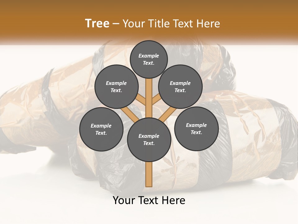 Caucasian Pensioner White PowerPoint Template