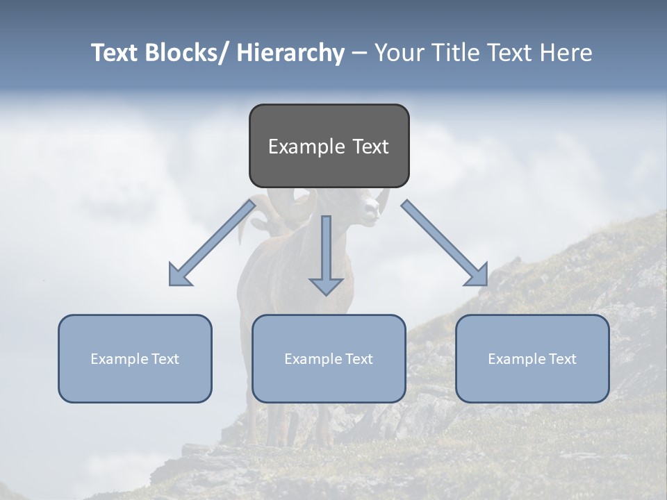 Family Parent Sad PowerPoint Template