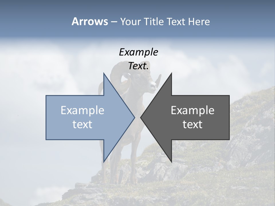 Family Parent Sad PowerPoint Template