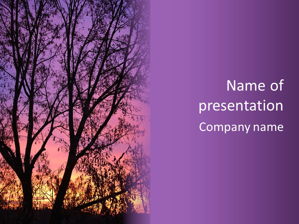 Peaceful Calm Sunset PowerPoint Template