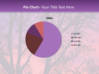 Peaceful Calm Sunset PowerPoint Template