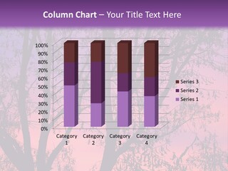 Peaceful Calm Sunset PowerPoint Template