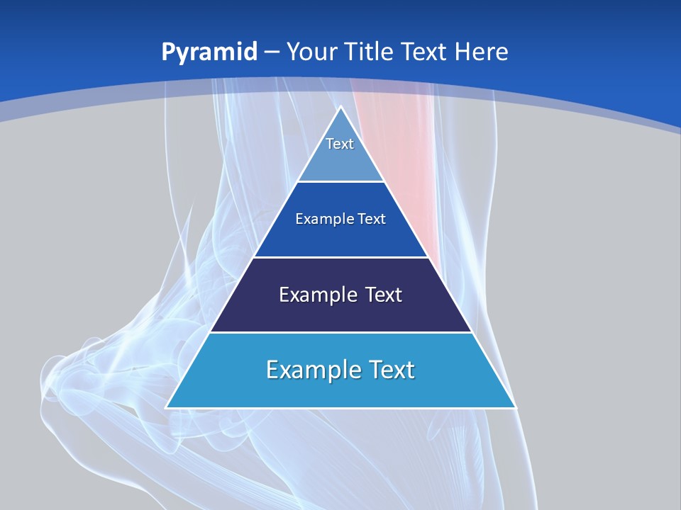 Wellness Retirement Senior PowerPoint Template