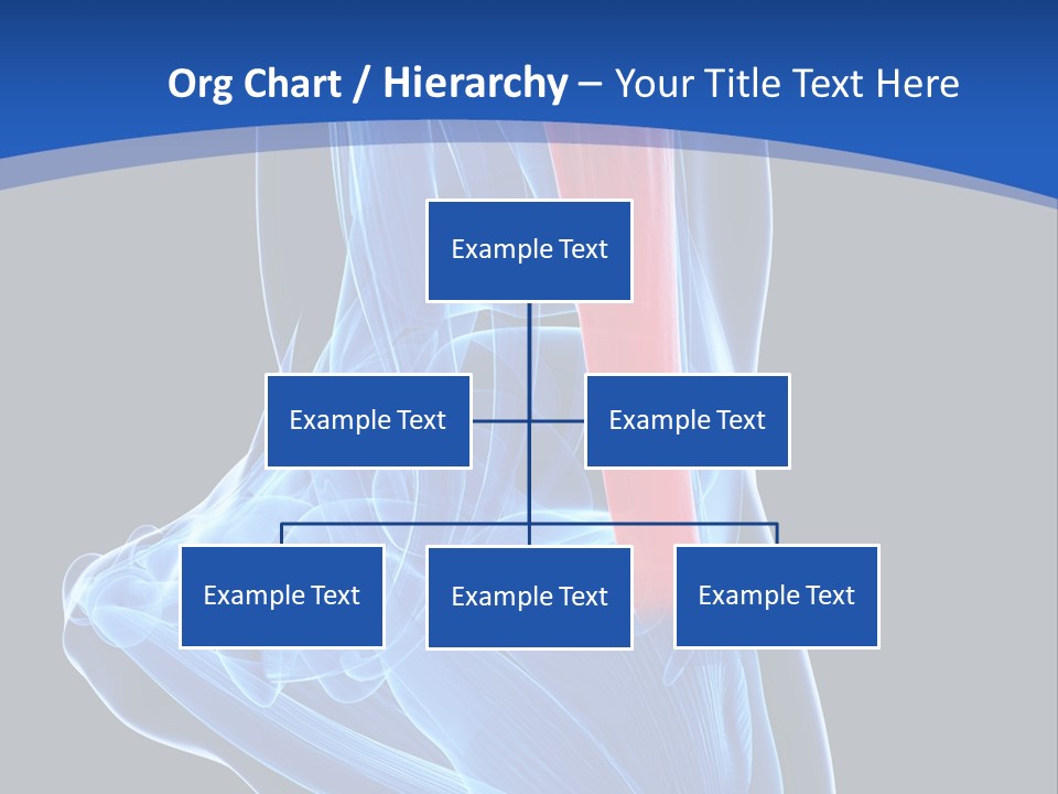 Wellness Retirement Senior PowerPoint Template