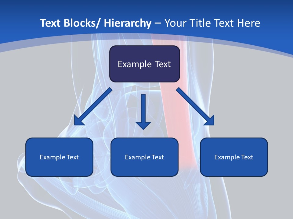Wellness Retirement Senior PowerPoint Template