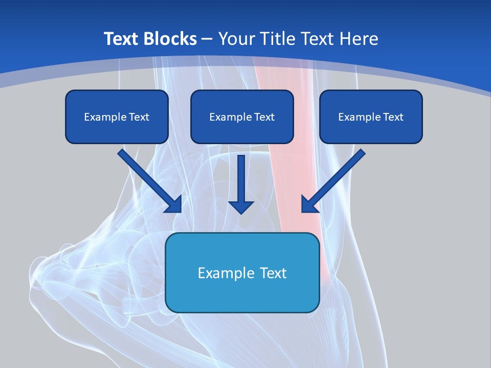 Wellness Retirement Senior PowerPoint Template