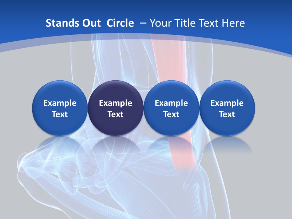 Wellness Retirement Senior PowerPoint Template