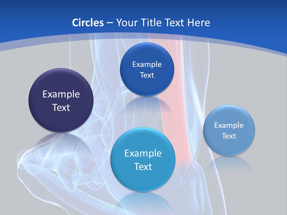 Wellness Retirement Senior PowerPoint Template