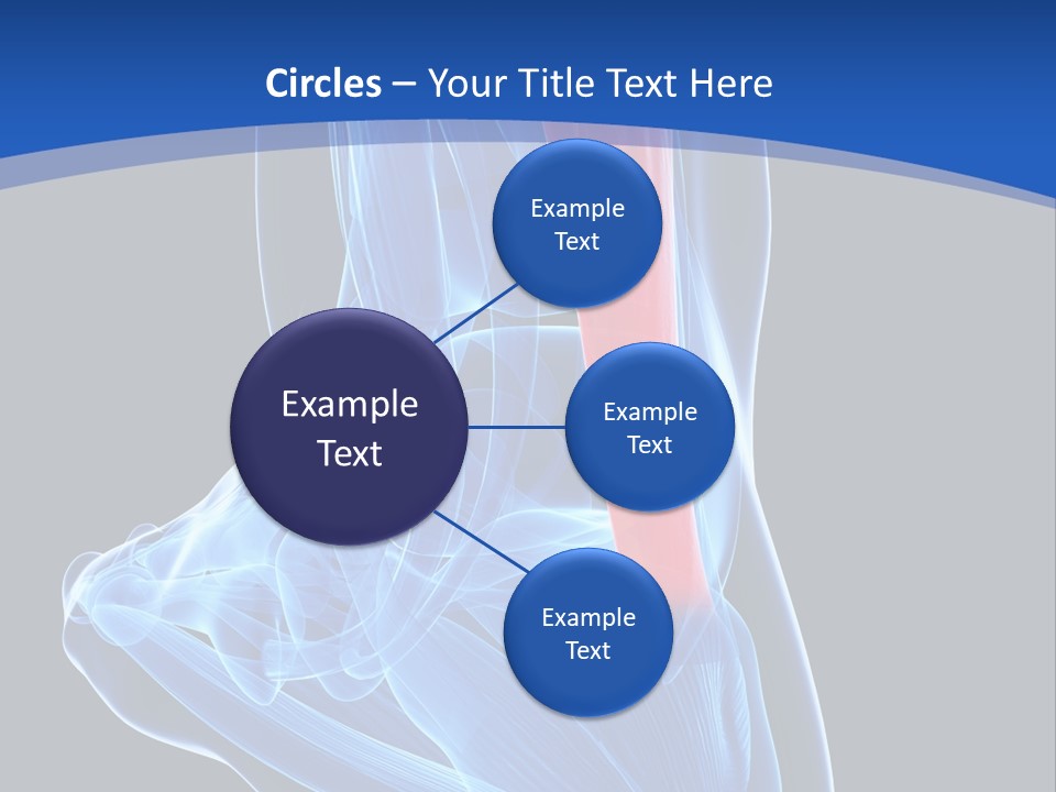 Wellness Retirement Senior PowerPoint Template