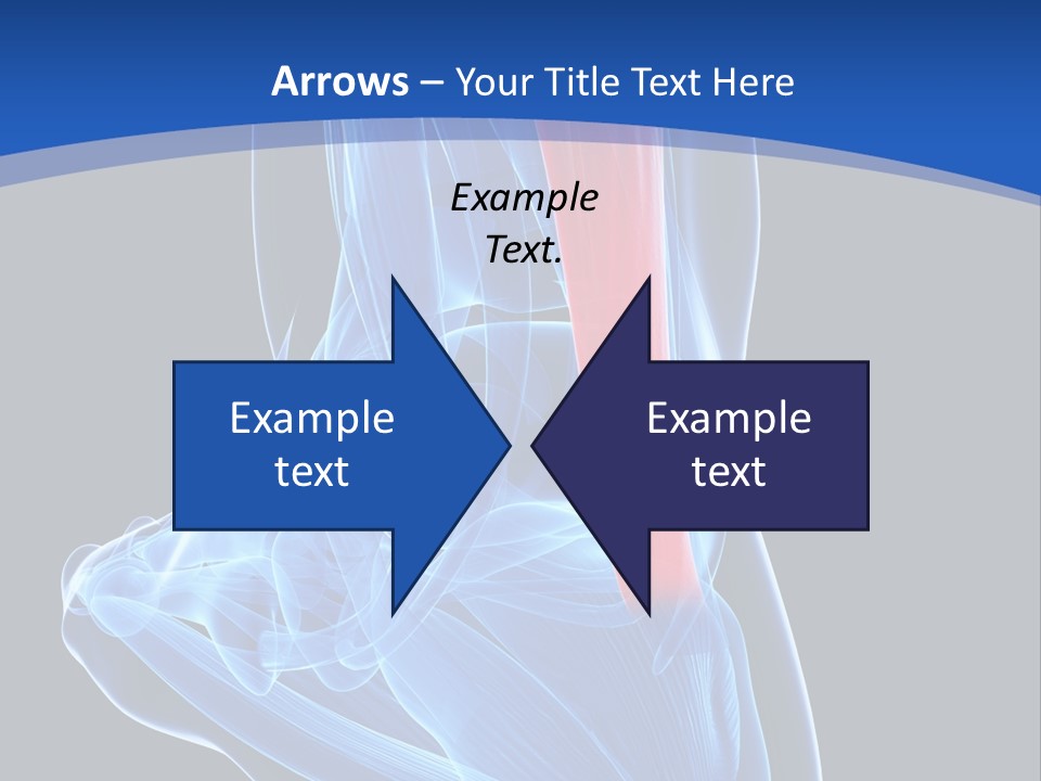 Wellness Retirement Senior PowerPoint Template