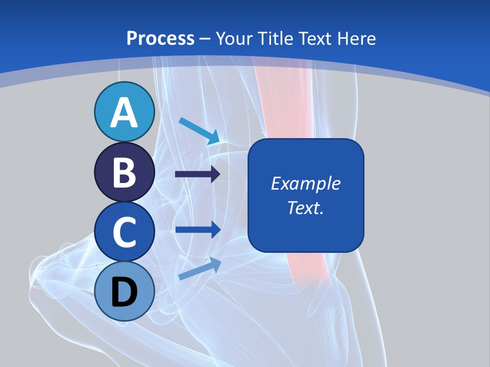 Wellness Retirement Senior PowerPoint Template