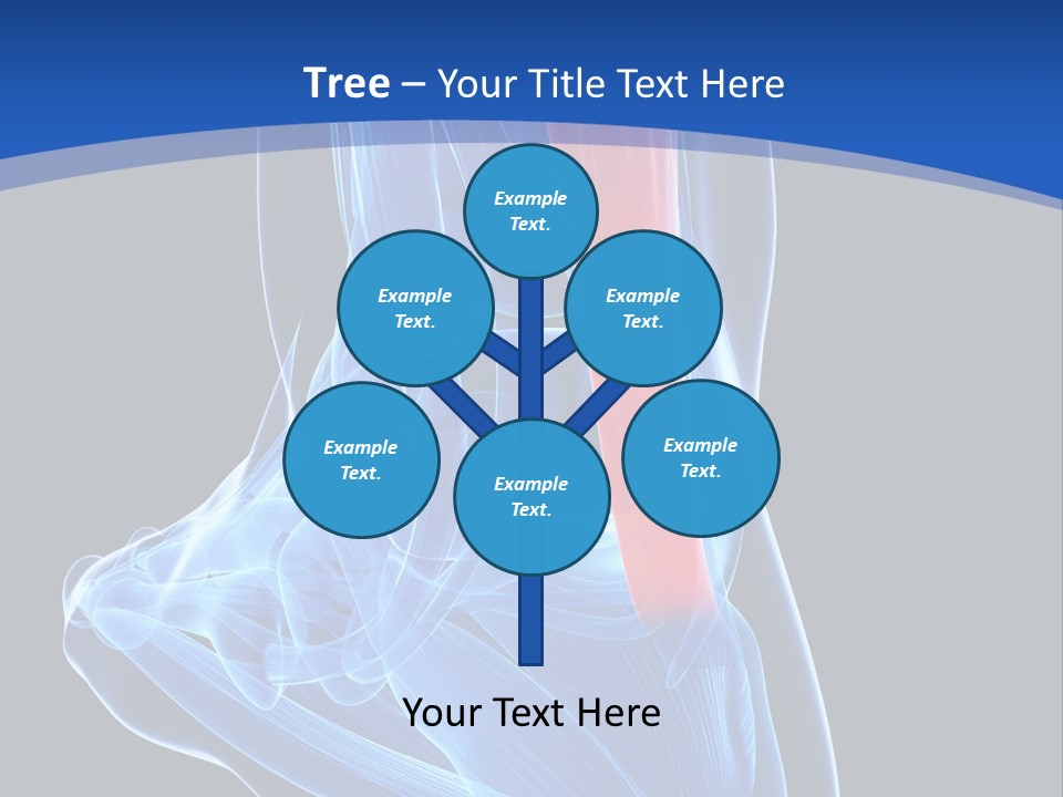 Wellness Retirement Senior PowerPoint Template