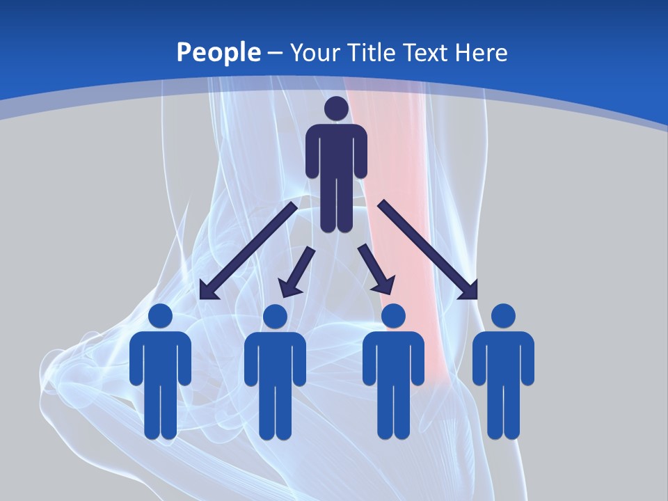 Wellness Retirement Senior PowerPoint Template