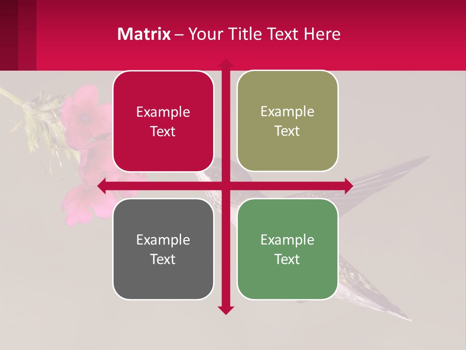 Lifestyle Pensioner Elderly PowerPoint Template