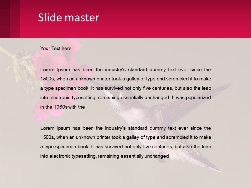 Lifestyle Pensioner Elderly PowerPoint Template