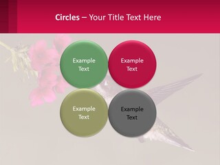 Lifestyle Pensioner Elderly PowerPoint Template