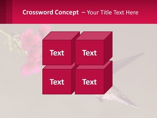 Lifestyle Pensioner Elderly PowerPoint Template