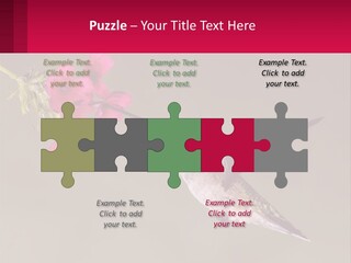 Lifestyle Pensioner Elderly PowerPoint Template