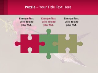 Lifestyle Pensioner Elderly PowerPoint Template