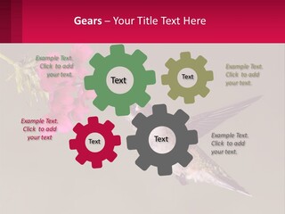 Lifestyle Pensioner Elderly PowerPoint Template