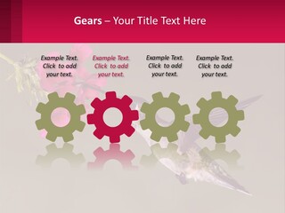 Lifestyle Pensioner Elderly PowerPoint Template