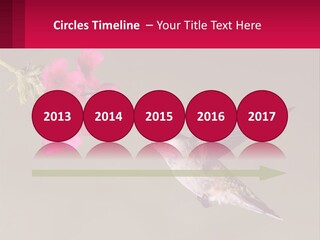 Lifestyle Pensioner Elderly PowerPoint Template