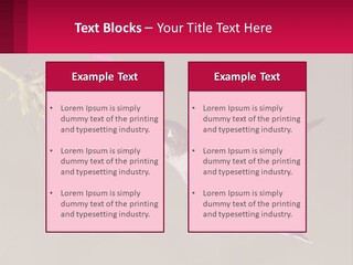 Lifestyle Pensioner Elderly PowerPoint Template