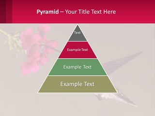 Lifestyle Pensioner Elderly PowerPoint Template