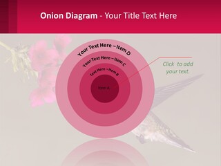 Lifestyle Pensioner Elderly PowerPoint Template