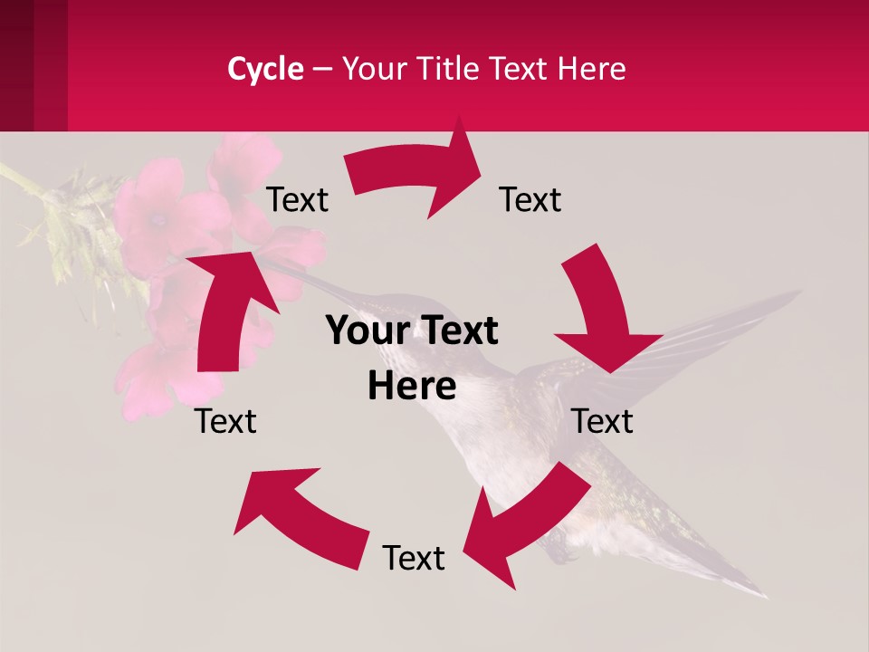 Lifestyle Pensioner Elderly PowerPoint Template