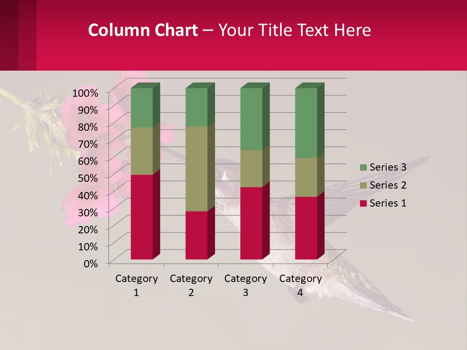 Lifestyle Pensioner Elderly PowerPoint Template