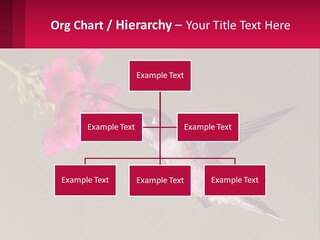 Lifestyle Pensioner Elderly PowerPoint Template