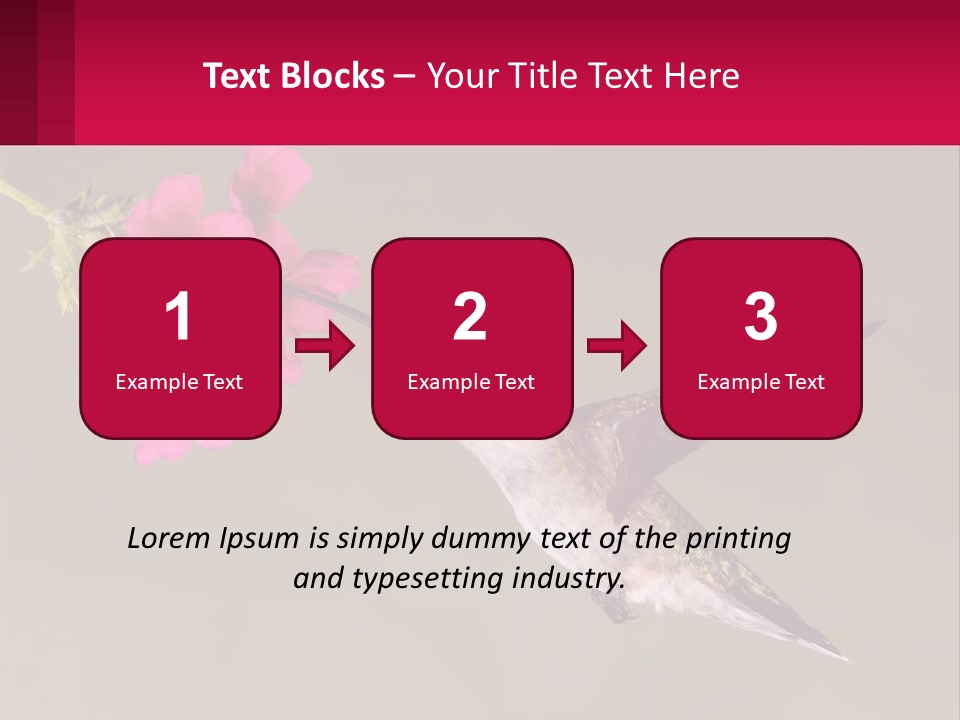 Lifestyle Pensioner Elderly PowerPoint Template