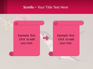 Lifestyle Pensioner Elderly PowerPoint Template