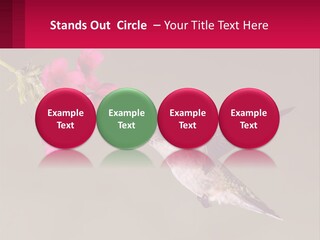 Lifestyle Pensioner Elderly PowerPoint Template