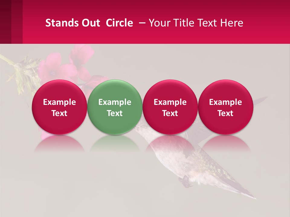 Lifestyle Pensioner Elderly PowerPoint Template