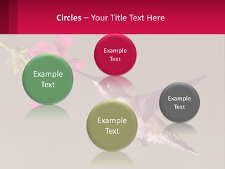 Lifestyle Pensioner Elderly PowerPoint Template