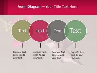 Lifestyle Pensioner Elderly PowerPoint Template