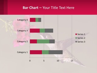 Lifestyle Pensioner Elderly PowerPoint Template